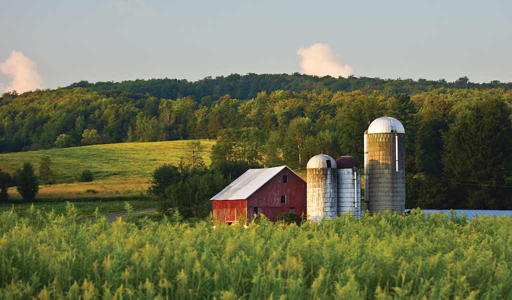 farm-scene